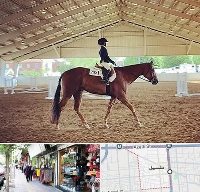 باشگاه سوارکاری در سلسبیل