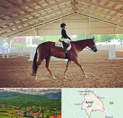 باشگاه سوارکاری در آمل