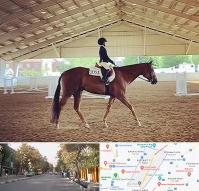 باشگاه سوارکاری در شریعتی