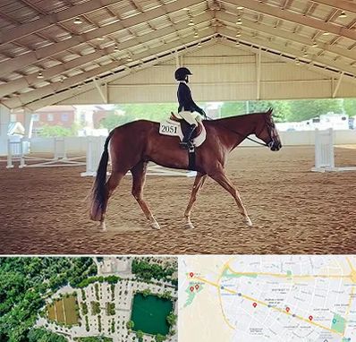 باشگاه سوارکاری در وکیل آباد مشهد