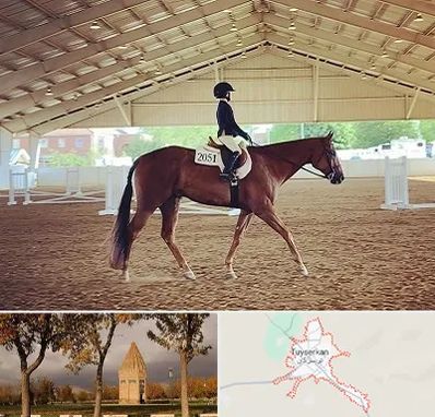 باشگاه سوارکاری در تویسرکان