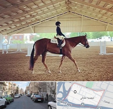 باشگاه سوارکاری در مجیدیه شمالی