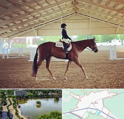 باشگاه سوارکاری در لنگرود