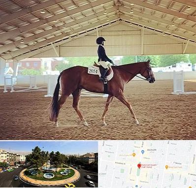 باشگاه سوارکاری در هفت حوض