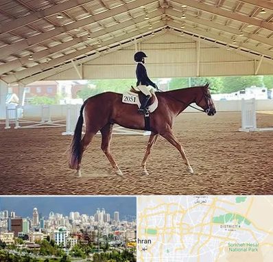 باشگاه سوارکاری در شرق تهران 