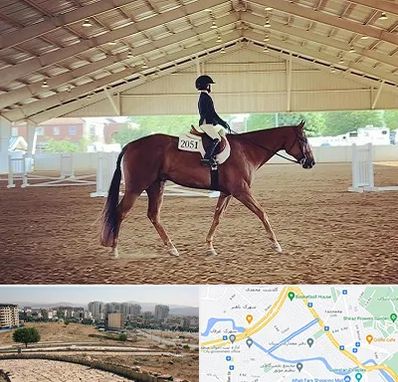 باشگاه سوارکاری در کوی وحدت شیراز