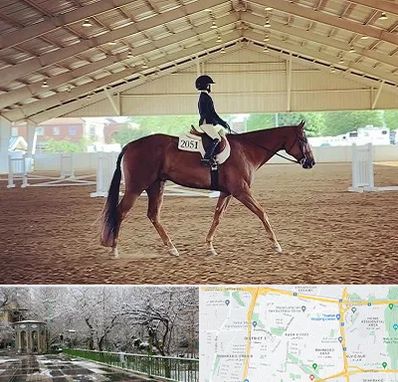 باشگاه سوارکاری در باغ فیض