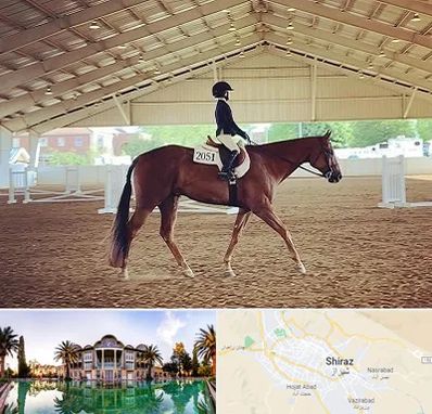 باشگاه سوارکاری در شیراز