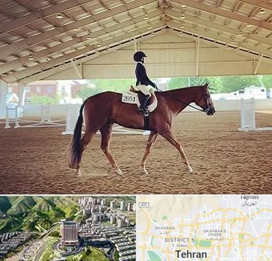 باشگاه سوارکاری در شمال تهران