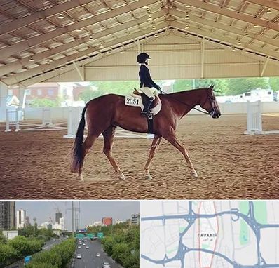 باشگاه سوارکاری در توانیر