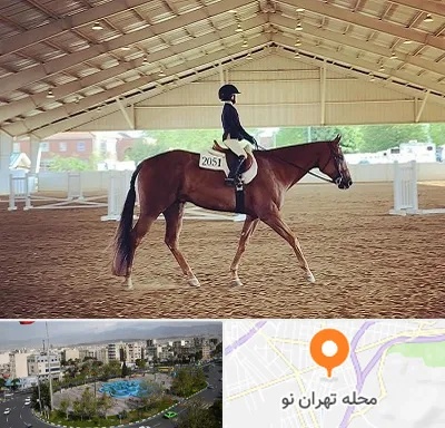باشگاه سوارکاری در تهران نو