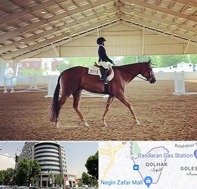 باشگاه سوارکاری در قلهک