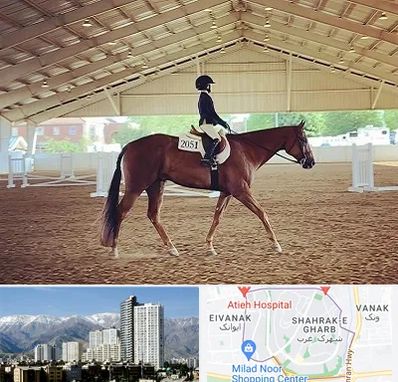 باشگاه سوارکاری در شهرک غرب 