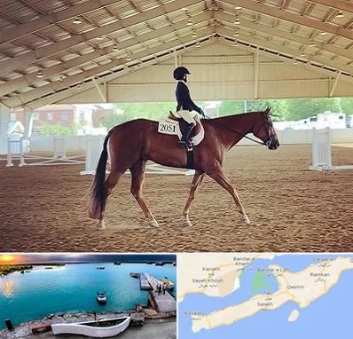 باشگاه سوارکاری در قشم