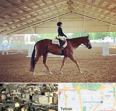 باشگاه سوارکاری در مرزداران 