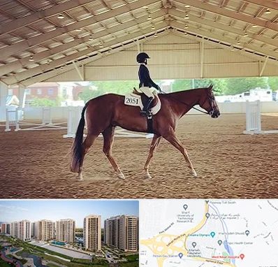 باشگاه سوارکاری در المپیک