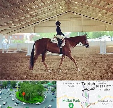 باشگاه سوارکاری در تجریش 