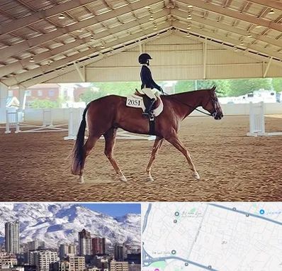 باشگاه سوارکاری در ازگل