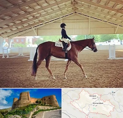 باشگاه سوارکاری در لرستان