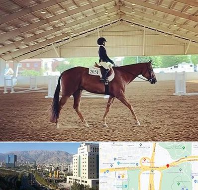 باشگاه سوارکاری در حقانی