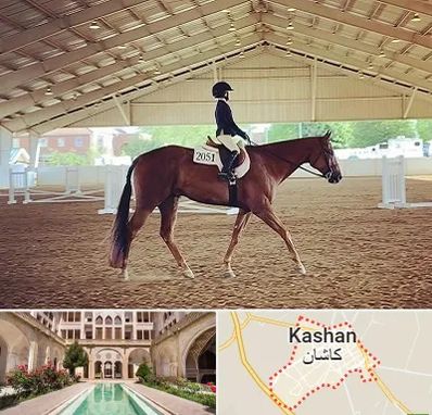 باشگاه سوارکاری در کاشان