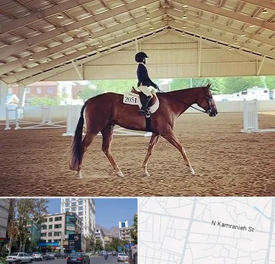 باشگاه سوارکاری در کامرانیه