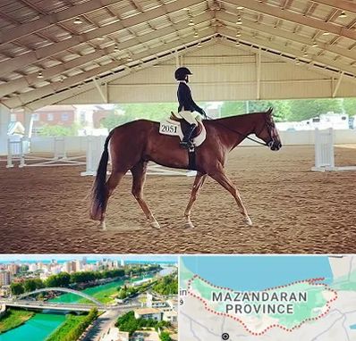 باشگاه سوارکاری در مازندران