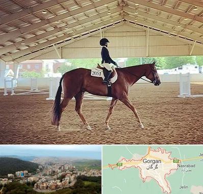 باشگاه سوارکاری در گرگان