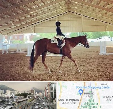 باشگاه سوارکاری در پونک 