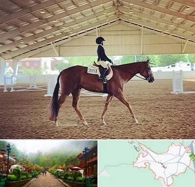 باشگاه سوارکاری در فومن