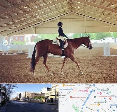 باشگاه سوارکاری در خیابان ملاصدرا شیراز