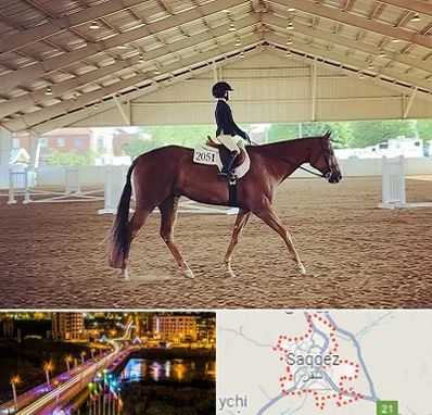 باشگاه سوارکاری در سقز