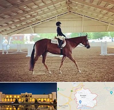 باشگاه سوارکاری در برازجان