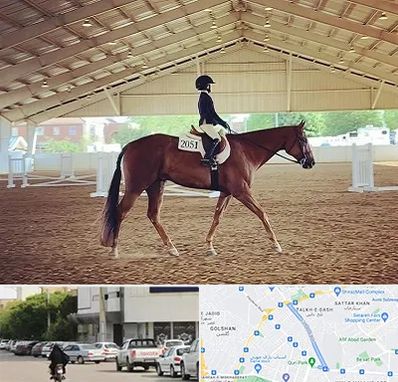 باشگاه سوارکاری در قدوسی شرقی شیراز