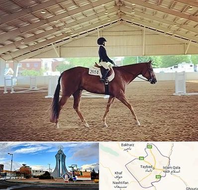 باشگاه سوارکاری در تایباد