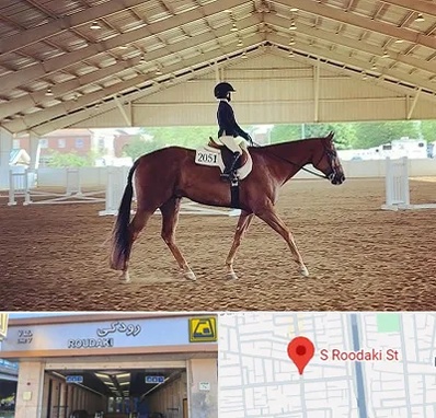 باشگاه سوارکاری در رودکی