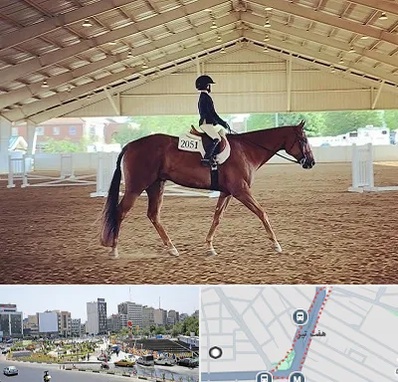 باشگاه سوارکاری در هفت تیر