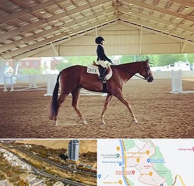 باشگاه سوارکاری در خیابان نیایش شیراز