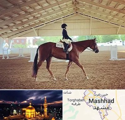 باشگاه سوارکاری در مشهد