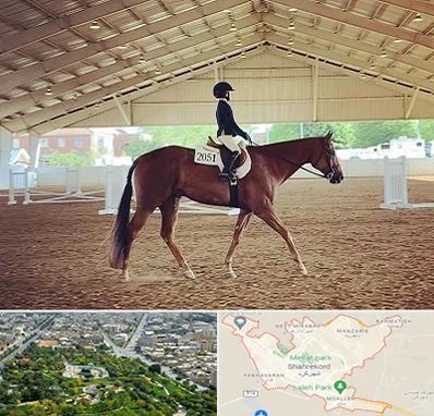 باشگاه سوارکاری در شهرکرد