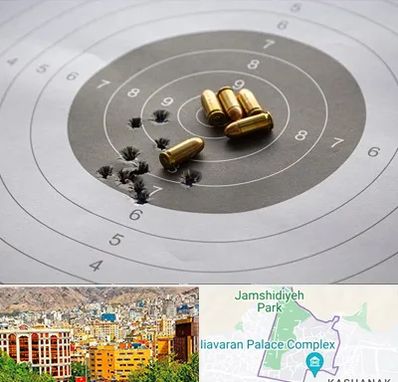 آموزشگاه تیراندازی در نیاوران 