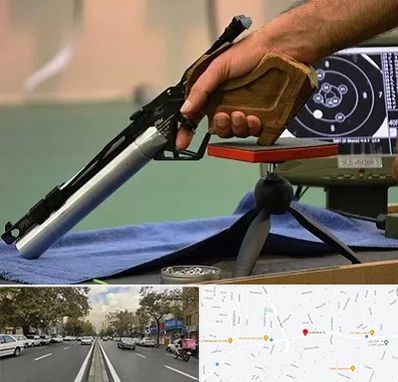 مربی تیراندازی در دولت