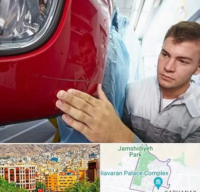 تشخیص رنگ خودرو در نیاوران 