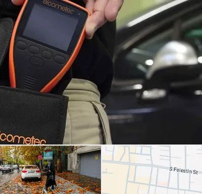 تشخیص فنی خودرو در خیابان فلسطین