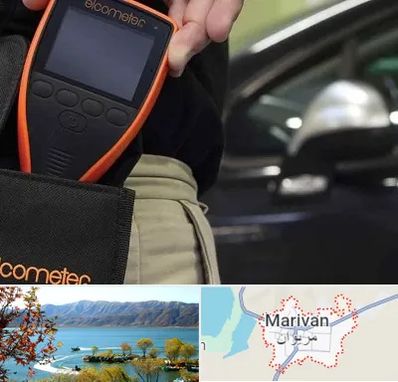 تشخیص فنی خودرو در مریوان