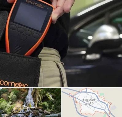 تشخیص فنی خودرو در الیگودرز