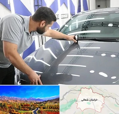 کارشناس رنگ خودرو در خراسان شمالی