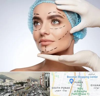 جراحی زیبایی در پونک