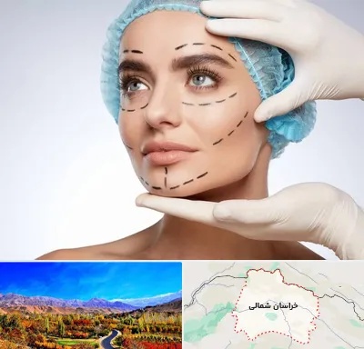 جراحی زیبایی در خراسان شمالی