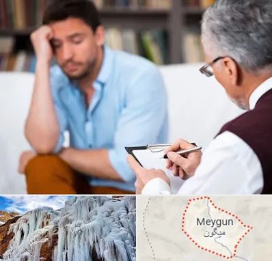 مشاور ازدواج در میگون